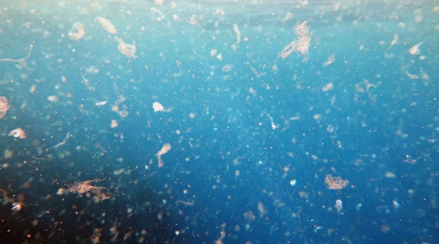 Microplastics in seawater